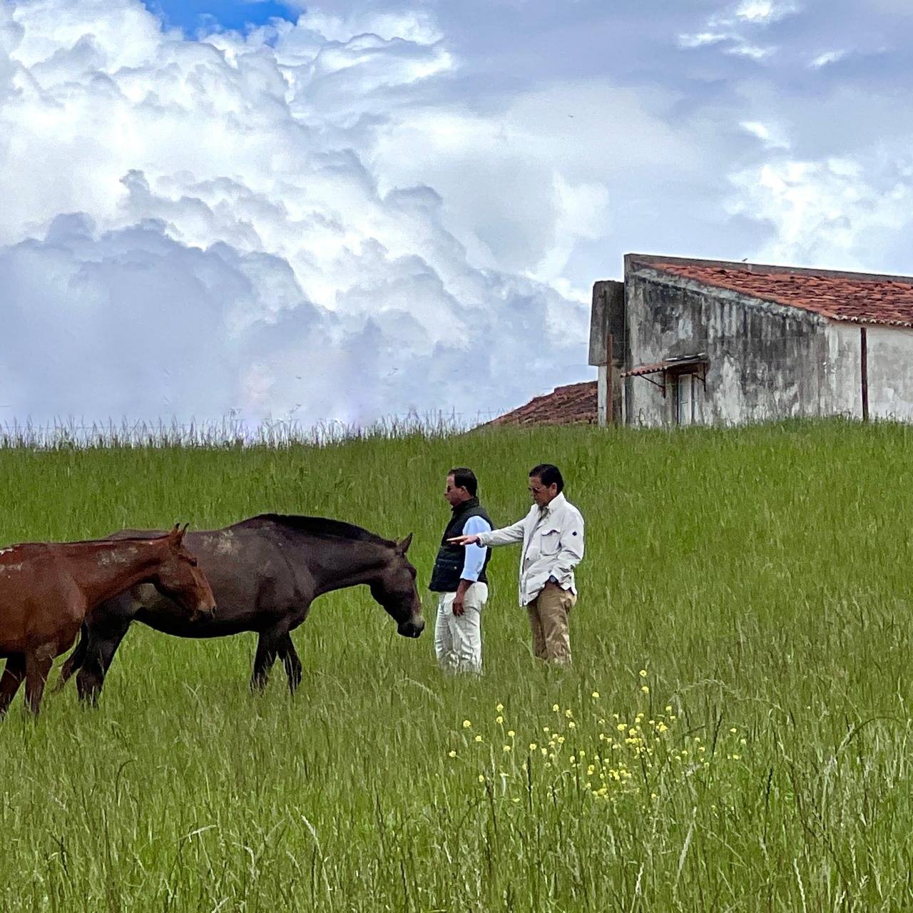 En el campo · Portugal